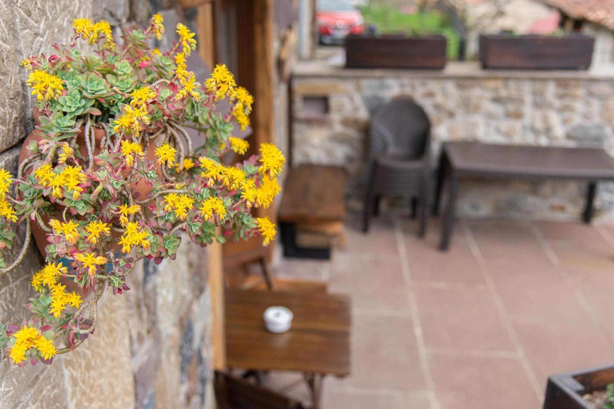 Baró Casa Vacacional La Pedreraヴィラ エクステリア 写真